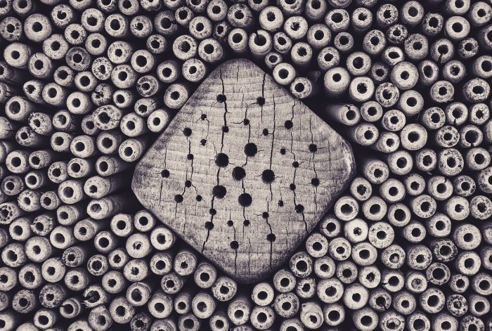 Triphobia(Tripofobi) Nedir?Belirtileri Nelerdir?